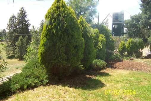 4304 Lincoln Road Spokane, WA 99217 - Photo 5 of 9