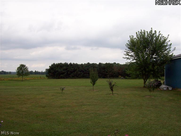 8245 Ruff Road West Salem, OH 44287 - Photo 24 of 25 2.75 acres to run and play on. Get out the dirt bikes and Go Karts. Ride your horse!! Enjoy the privacy!!!