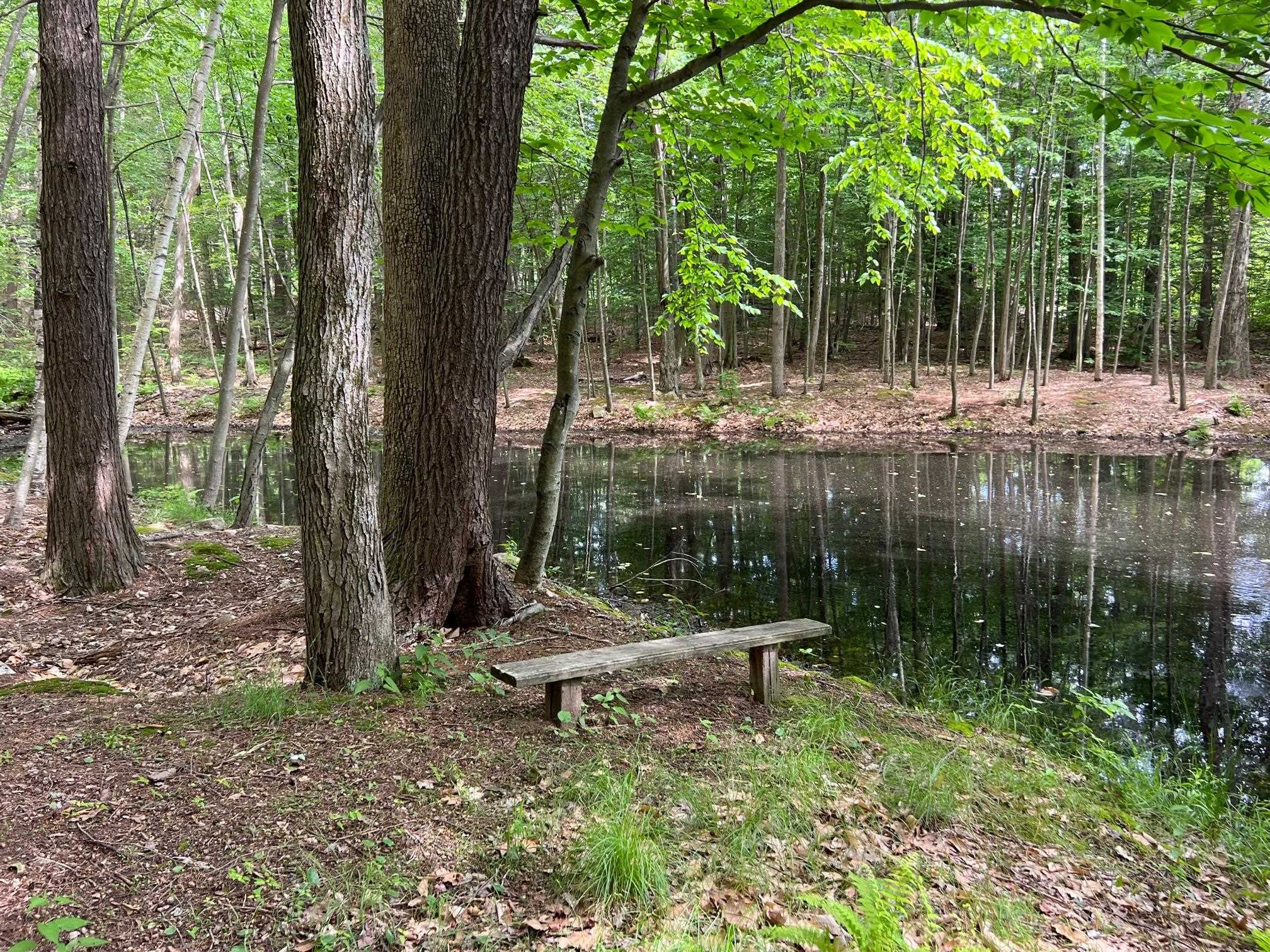 33 Old Candia Road Deerfield, NH 03037 - Photo 11 of 18