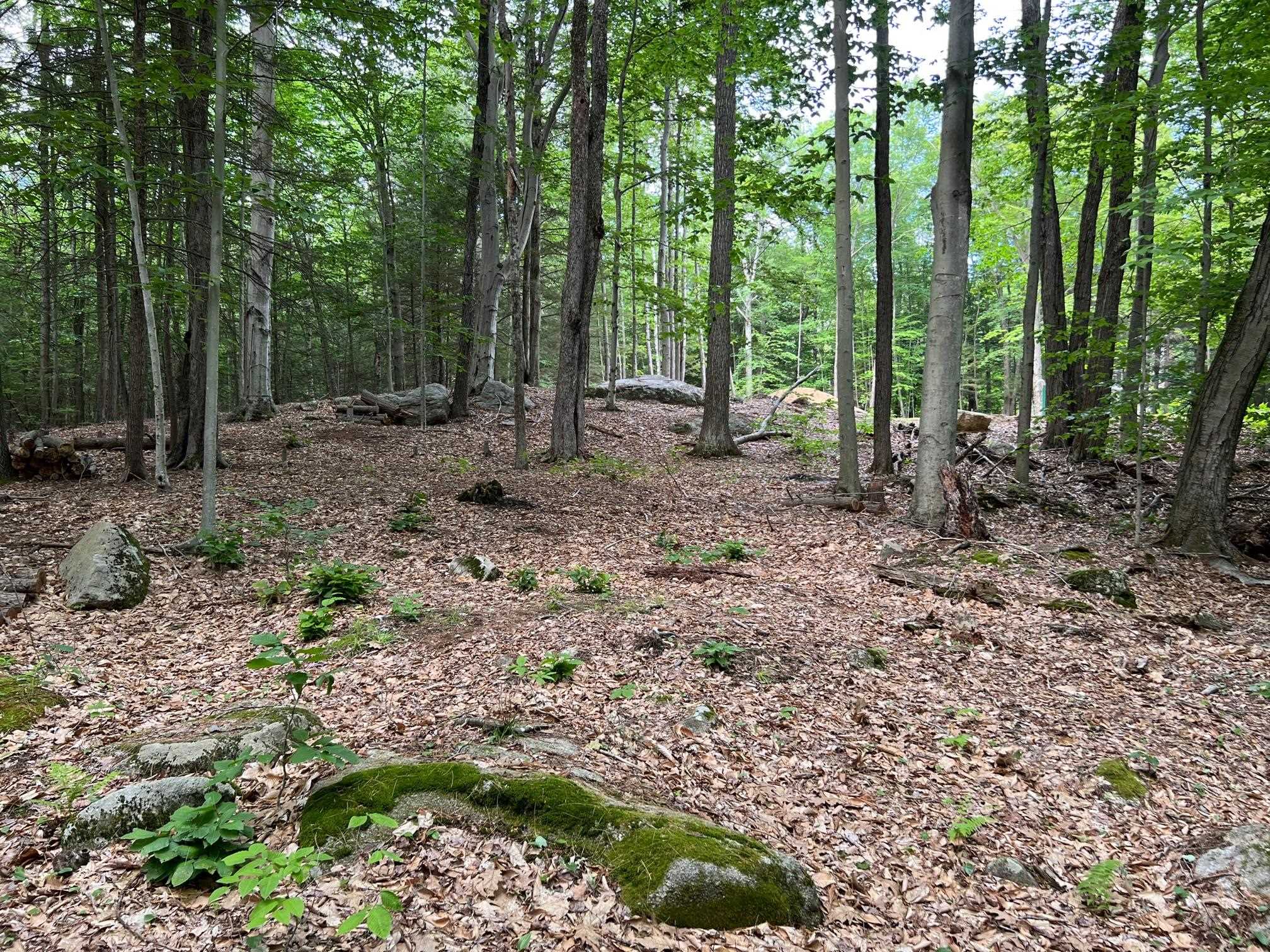 33 Old Candia Road Deerfield, NH 03037 - Photo 13 of 18