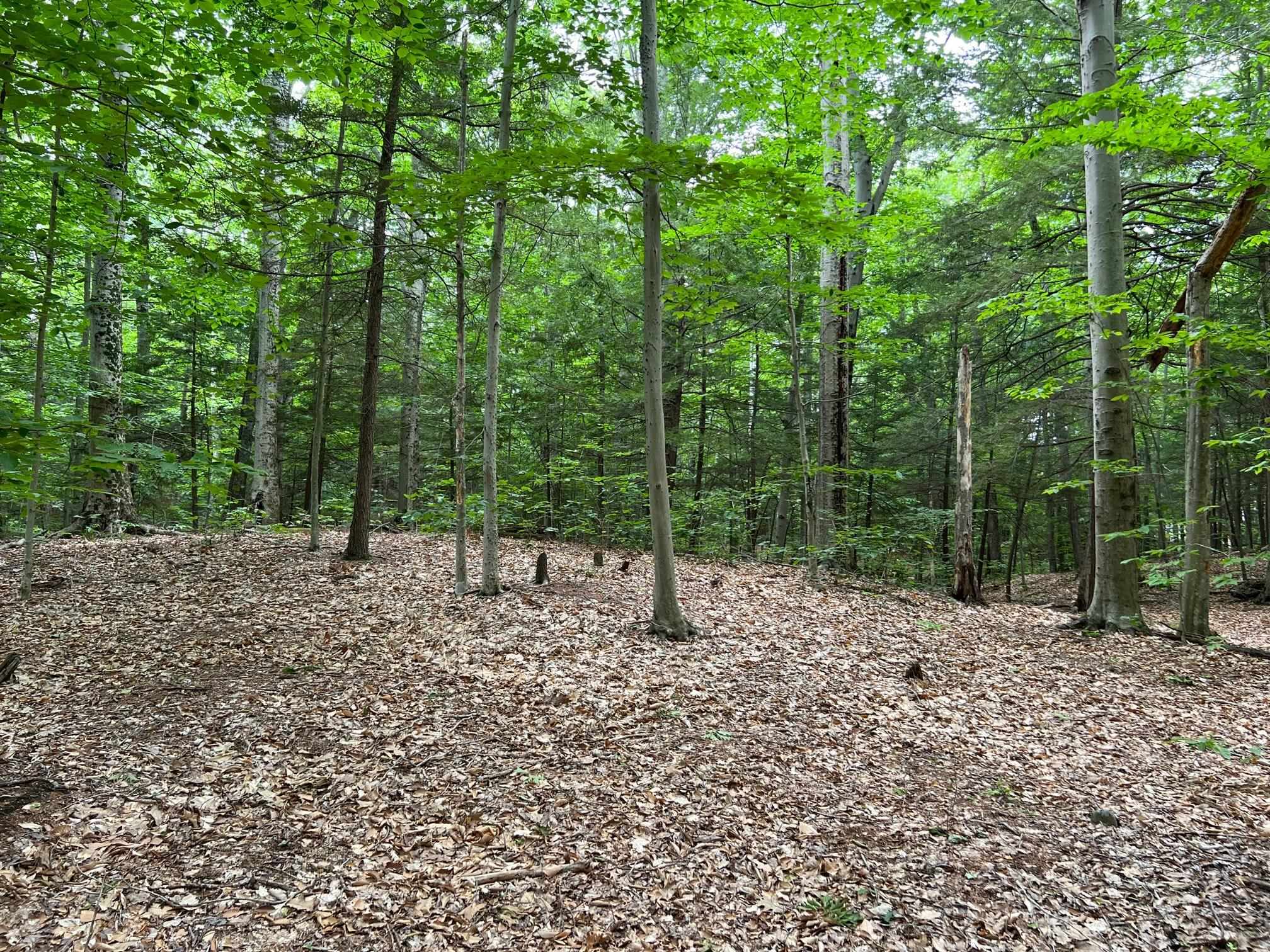33 Old Candia Road Deerfield, NH 03037 - Photo 15 of 18