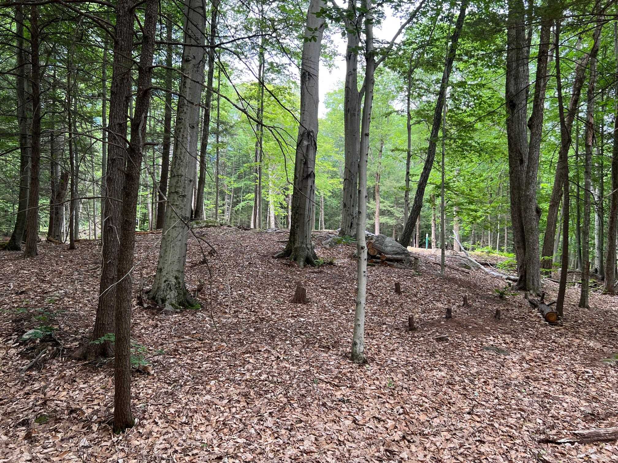 33 Old Candia Road Deerfield, NH 03037 - Photo 16 of 18