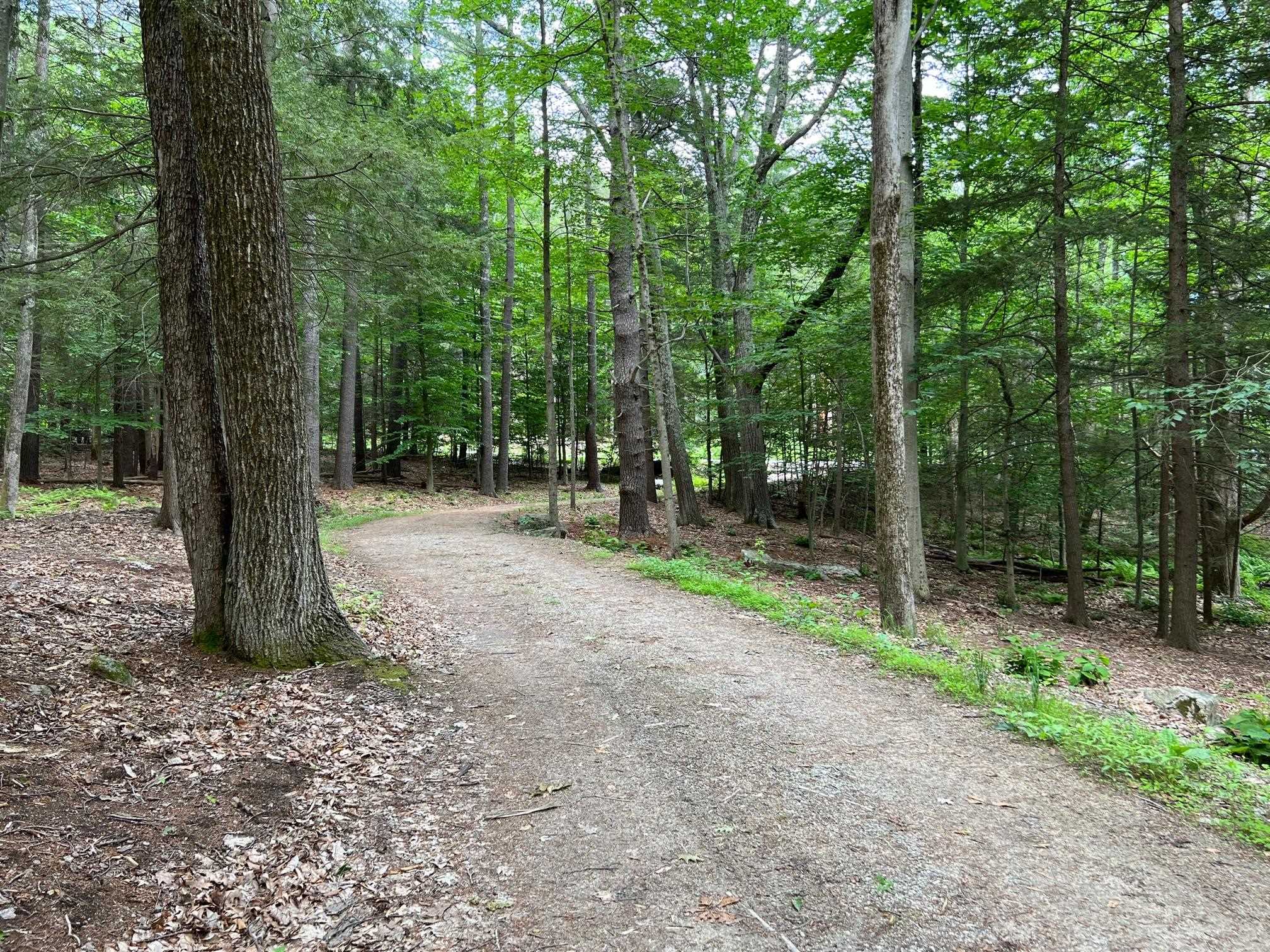 33 Old Candia Road Deerfield, NH 03037 - Photo 17 of 18