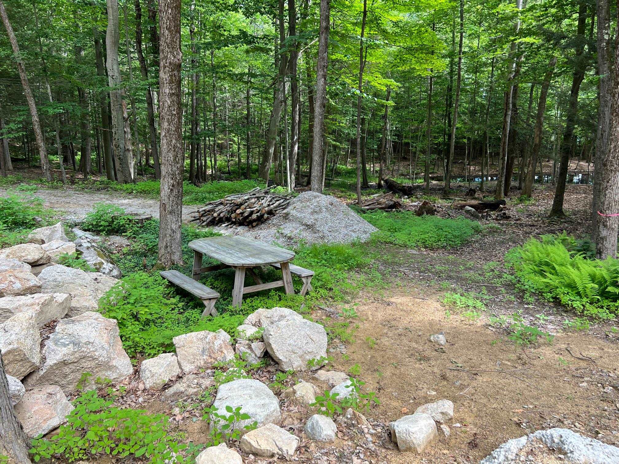 33 Old Candia Road Deerfield, NH 03037 - Photo 7 of 18