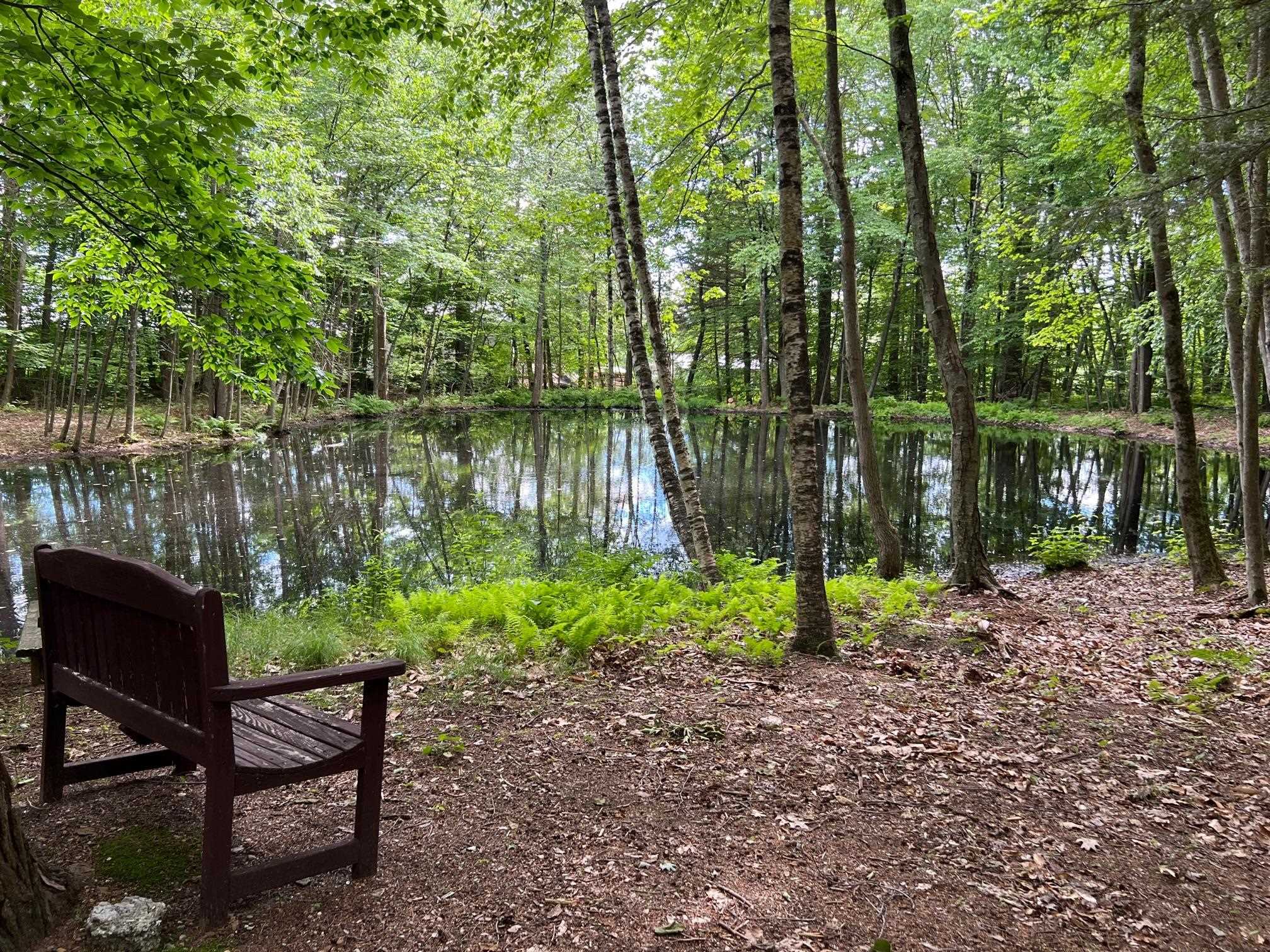 33 Old Candia Road Deerfield, NH 03037 - Photo 10 of 18