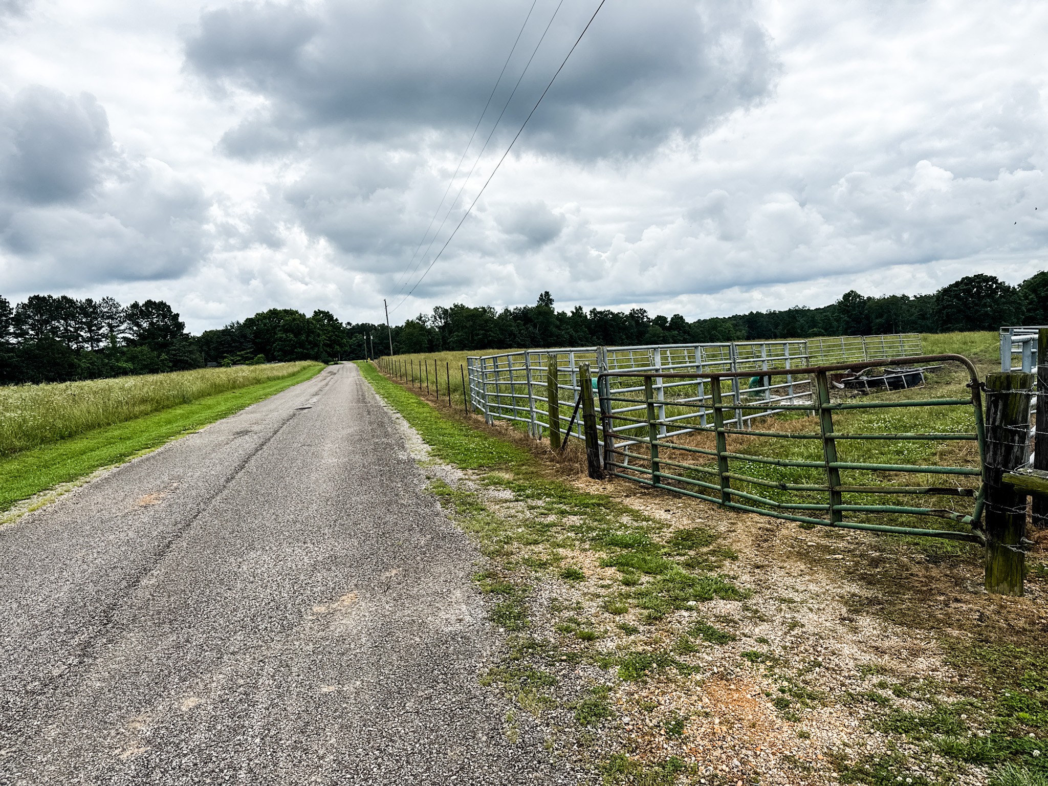 1198 David Patterson Road Lutts, TN 38471 - Photo 80 of 82 a view of a lake with a big yard