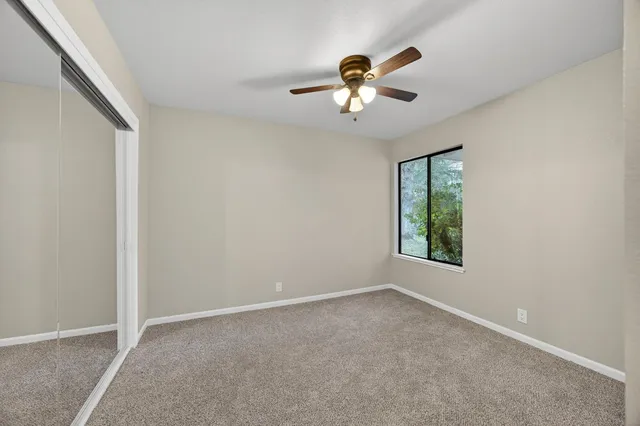 a view of a backyard with plants and large trees
