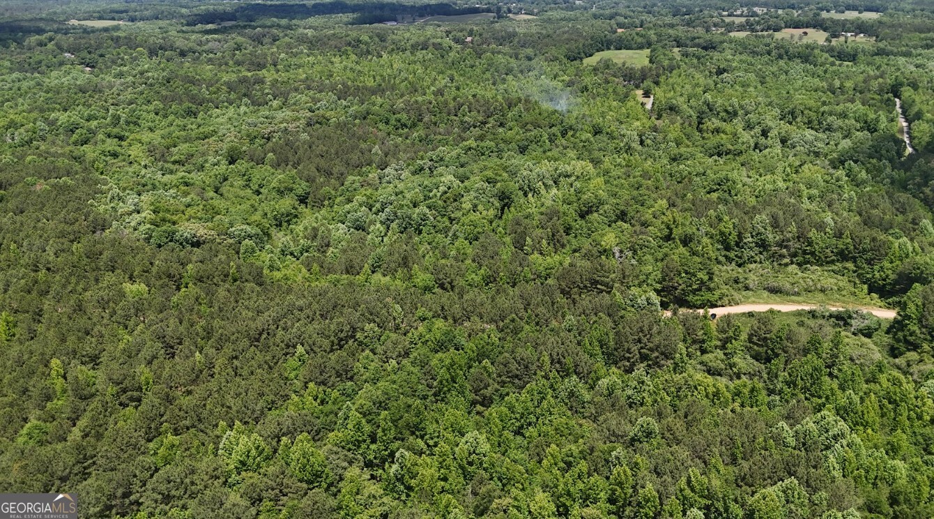 0 Creek Road, Unit LOT 8 Ashland, AL 36251 - Photo 10 of 25