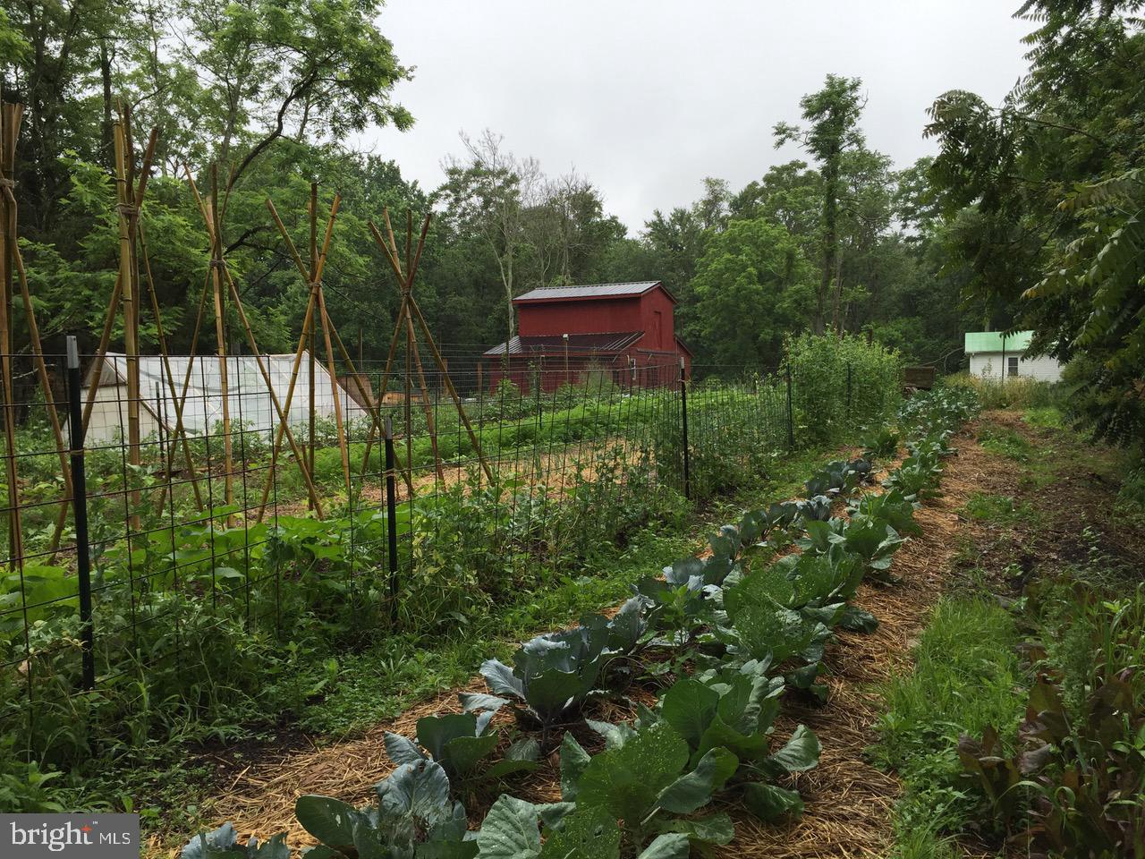 3085 Indian Run Road Amissville, VA 20106 - Photo 100 of 132