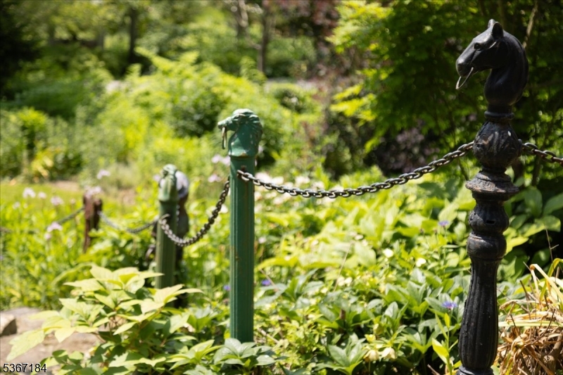 936 Dove Island Road Newton, NJ 07860 - Photo 35 of 50 a close up of a plant