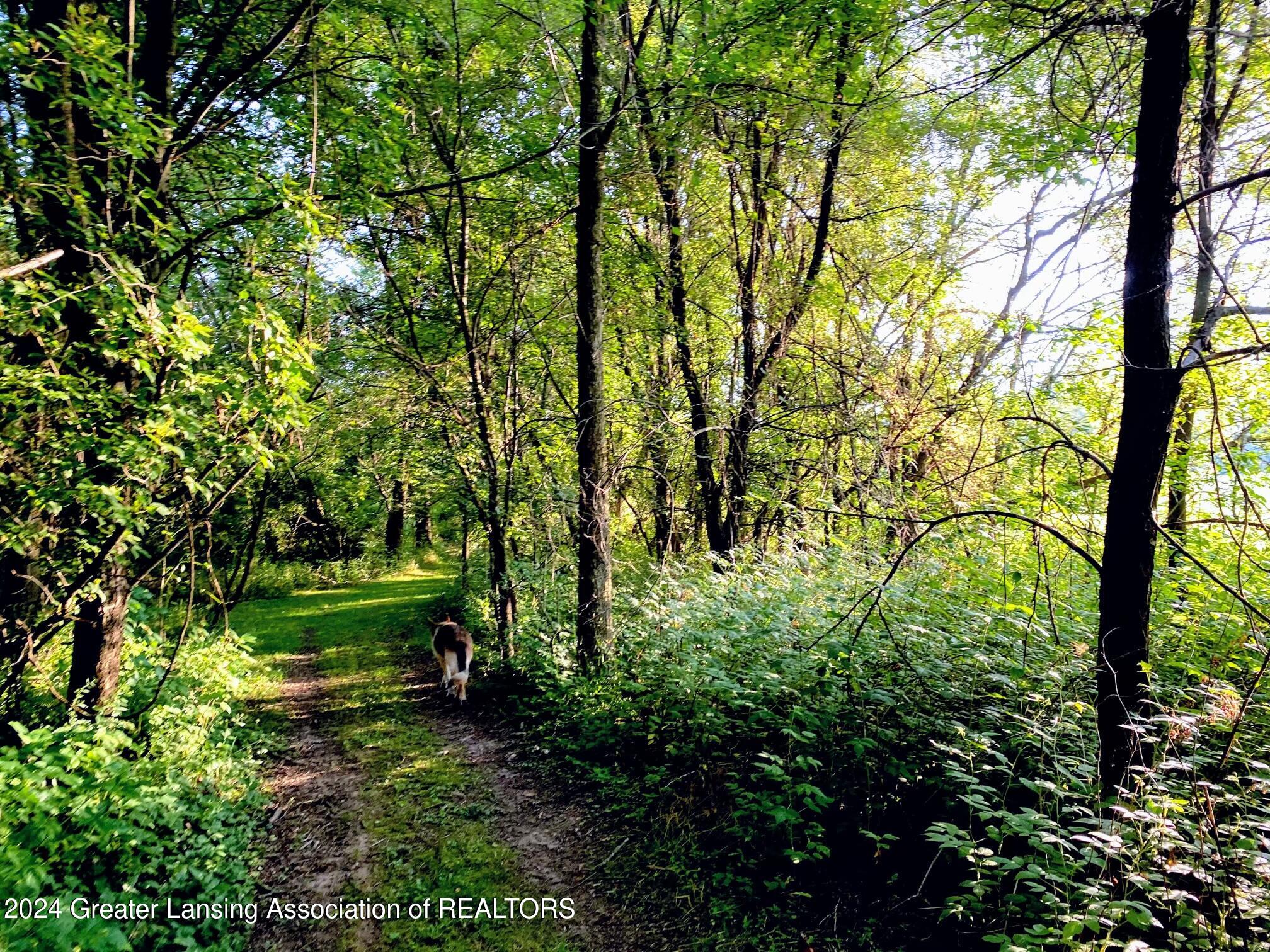 10186 North Shaytown Road Mulliken, MI 48861 - Photo 69 of 70 Private trails