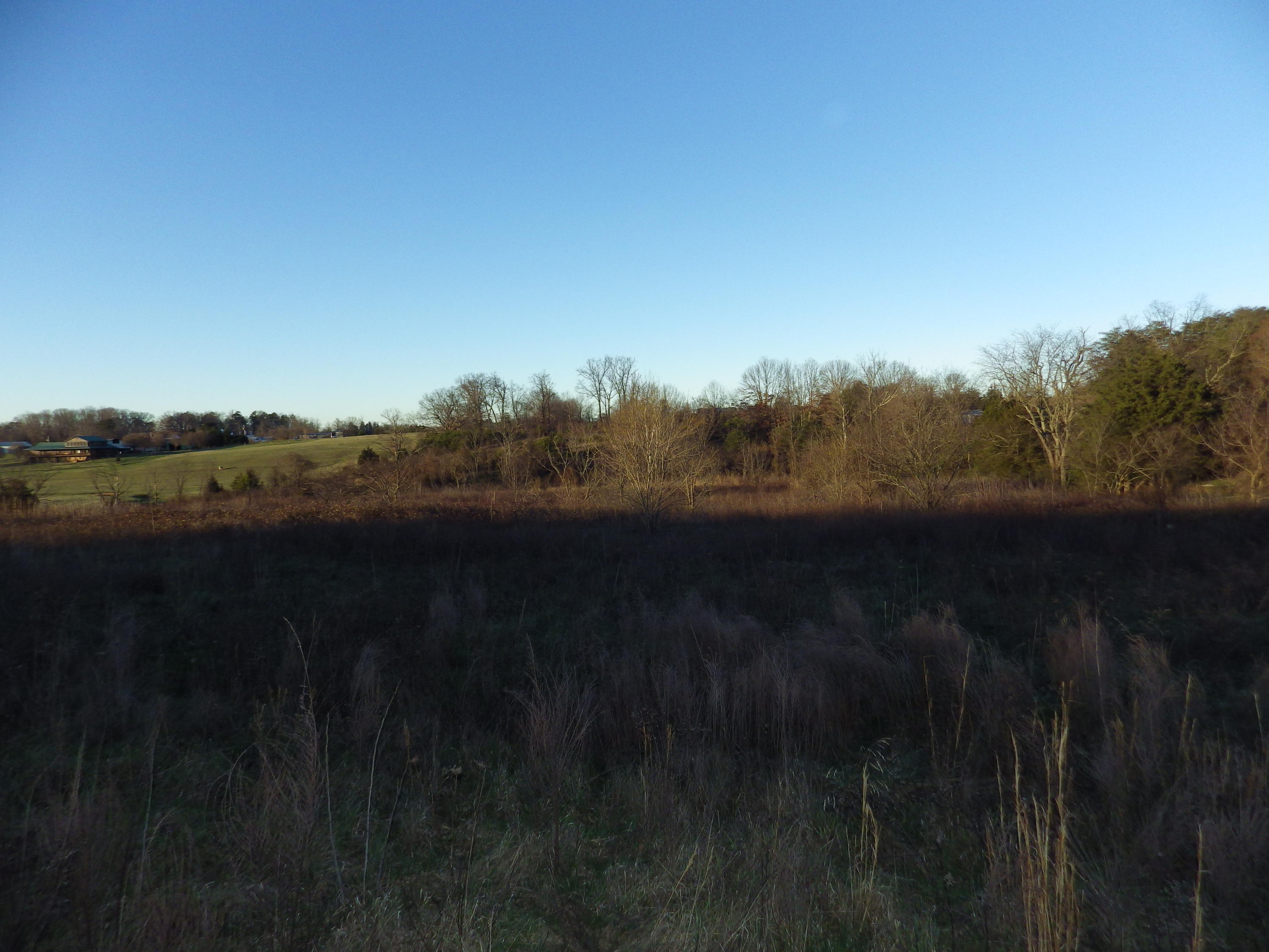 Dixie Road Greeneville, TN 37743 - Photo 2 of 4 2016-08-25 05.53.05