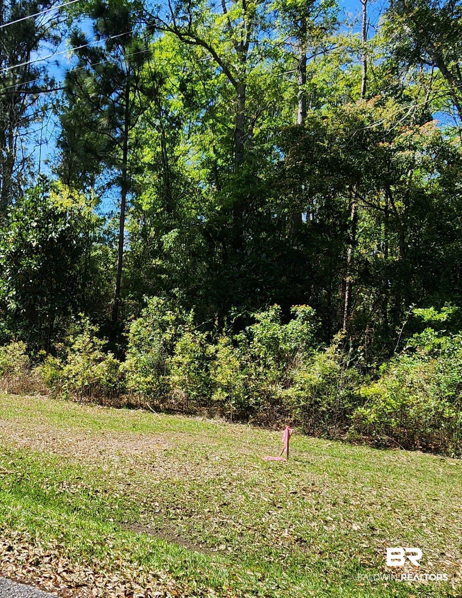 0 Dakota Street Elberta, AL 36530 - Photo 2 of 4