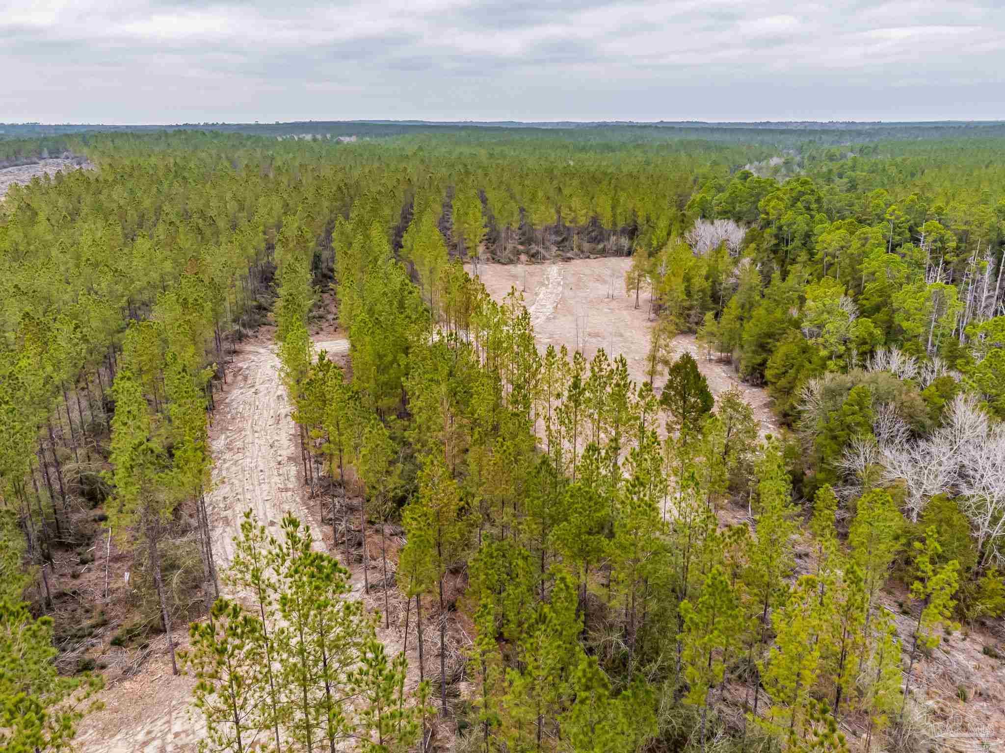 9318 Indian Ford Road, Unit PARCEL B 22 45 / ACRES (APPROXIMATELY) Milton, FL 32570 - Photo 3 of 36