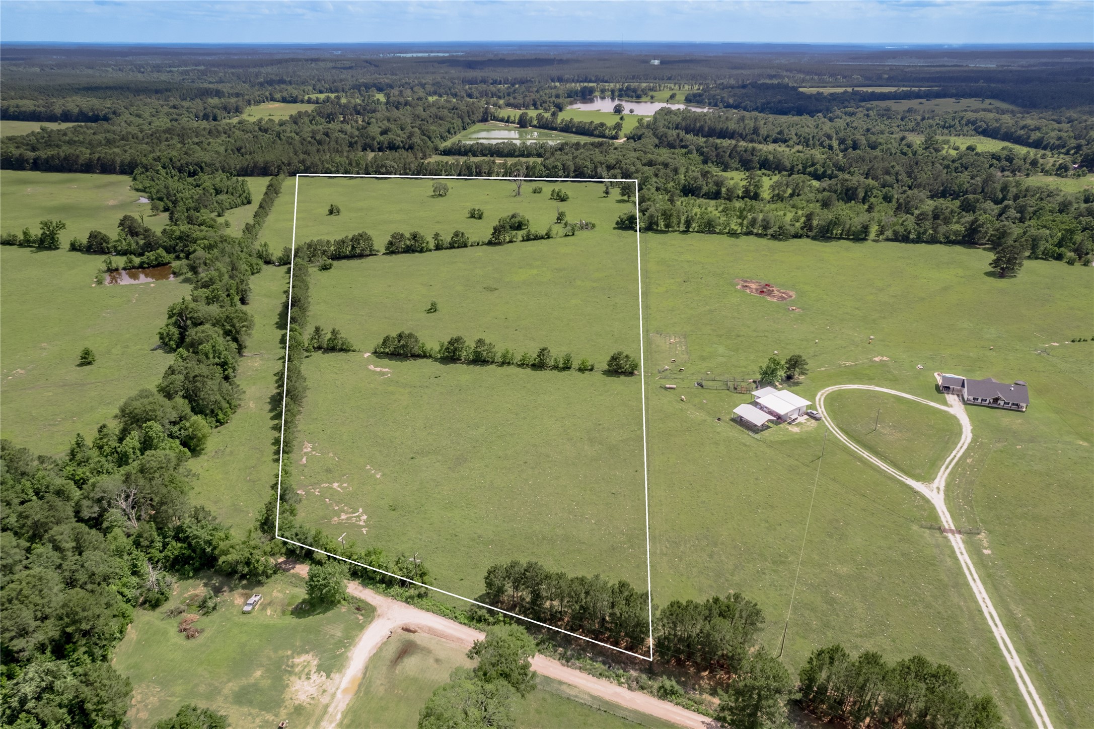 Tbd Turner Street Groveton, TX 75845 - Photo 6 of 10