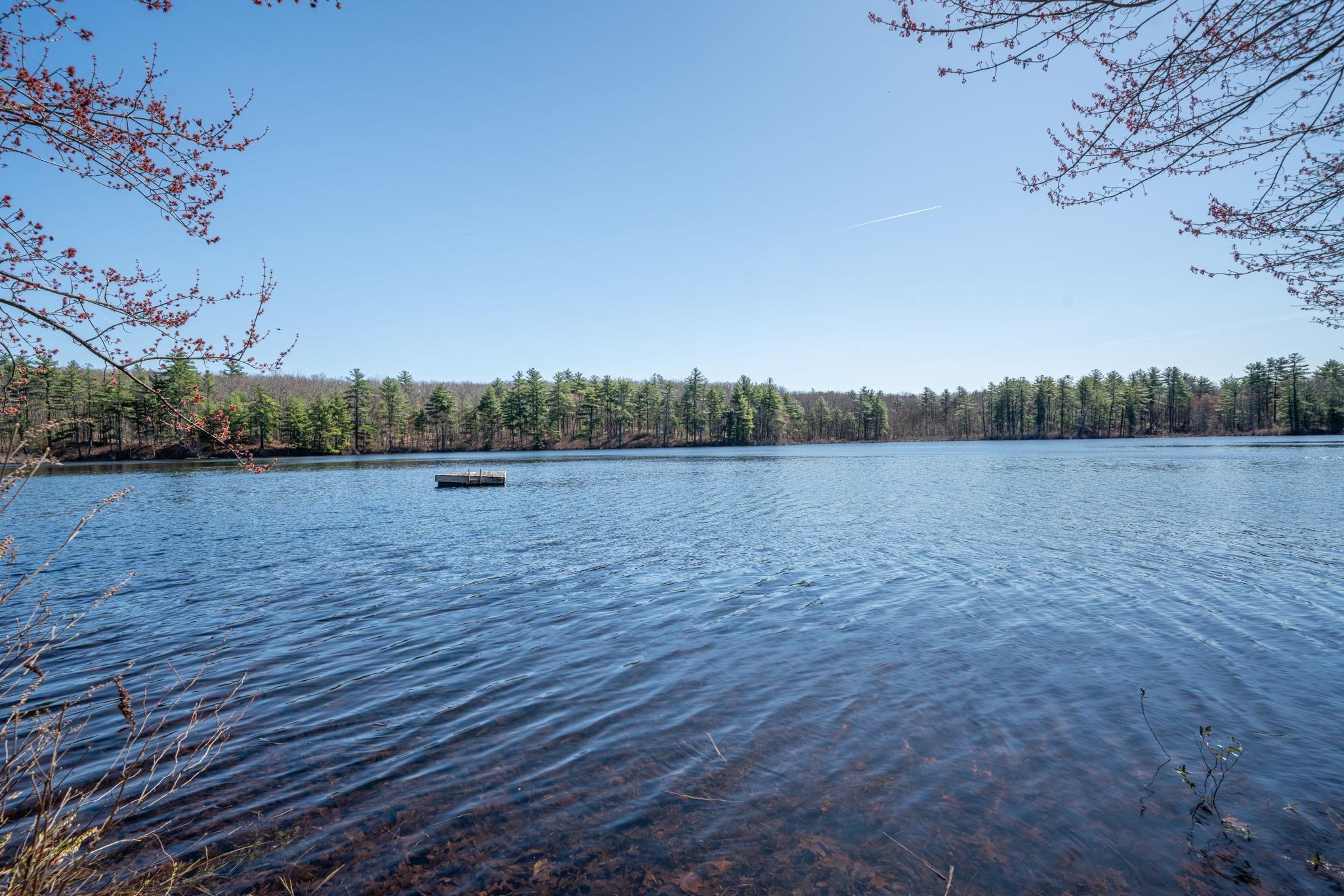 36 Brewster Road Londonderry, NH 03038 - Photo 13 of 44