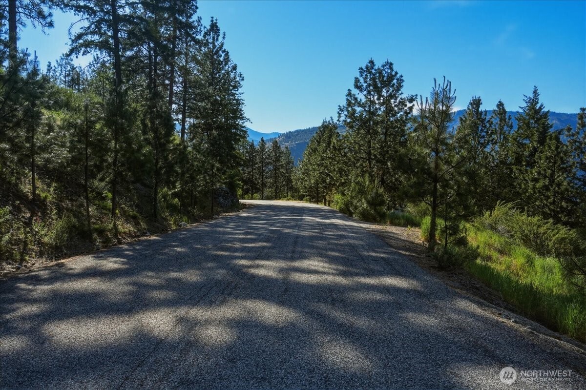 7376 Ridgeview Drive Chelan, WA 98816 - Photo 10 of 21 a view of outdoor space with trees all around
