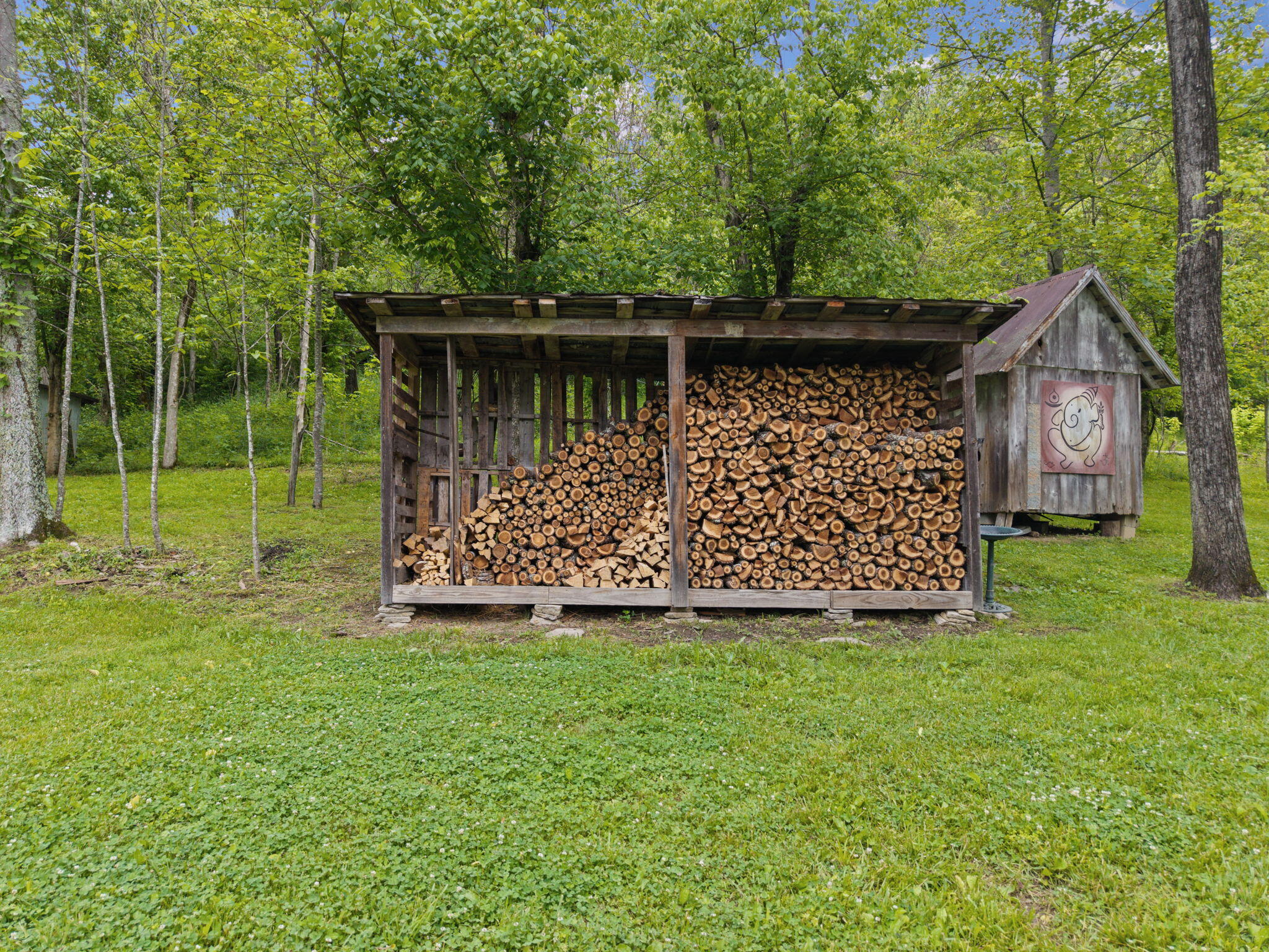 925 Lockmier Road Augusta, KY 41002 - Photo 46 of 50