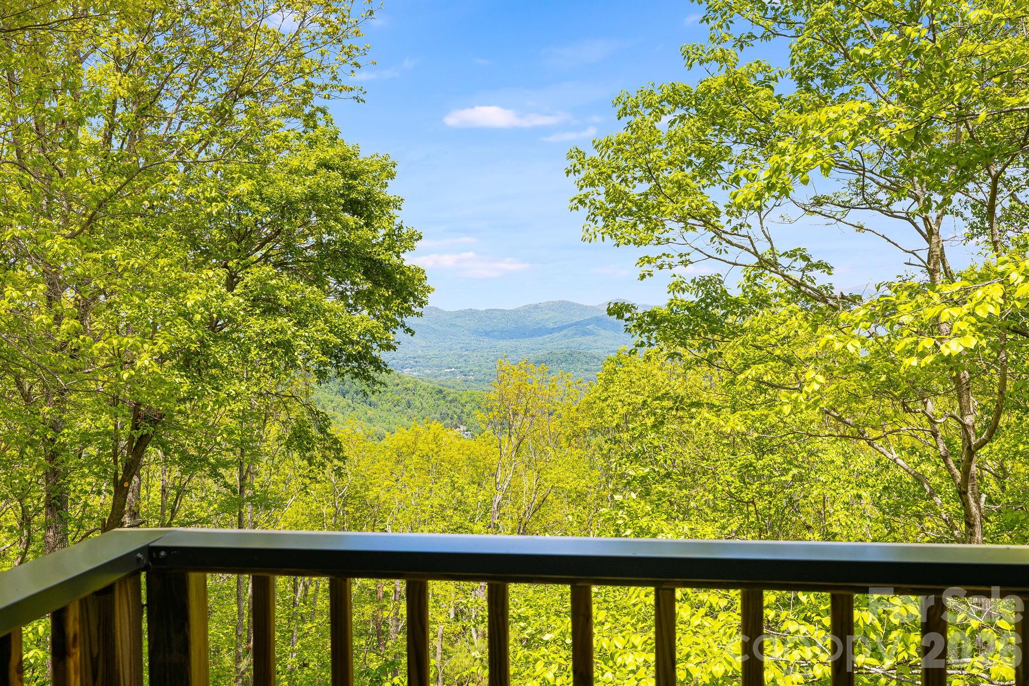 24 Smokey Road Asheville, NC 28803 - Photo 7 of 48 Gallery Image 7