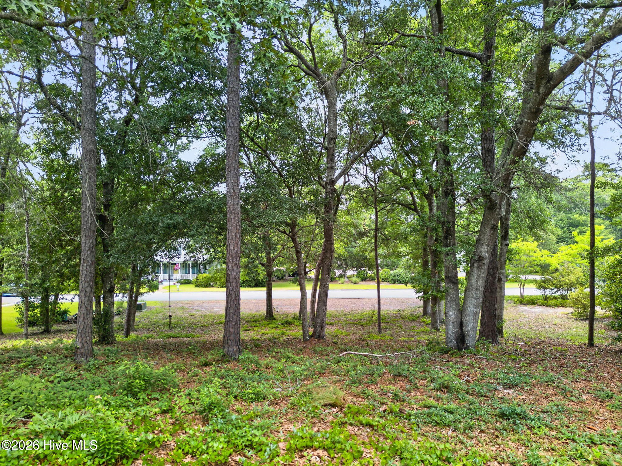6062 Sullivan Ridge Road Southport, NC 28461 - Photo 2 of 23