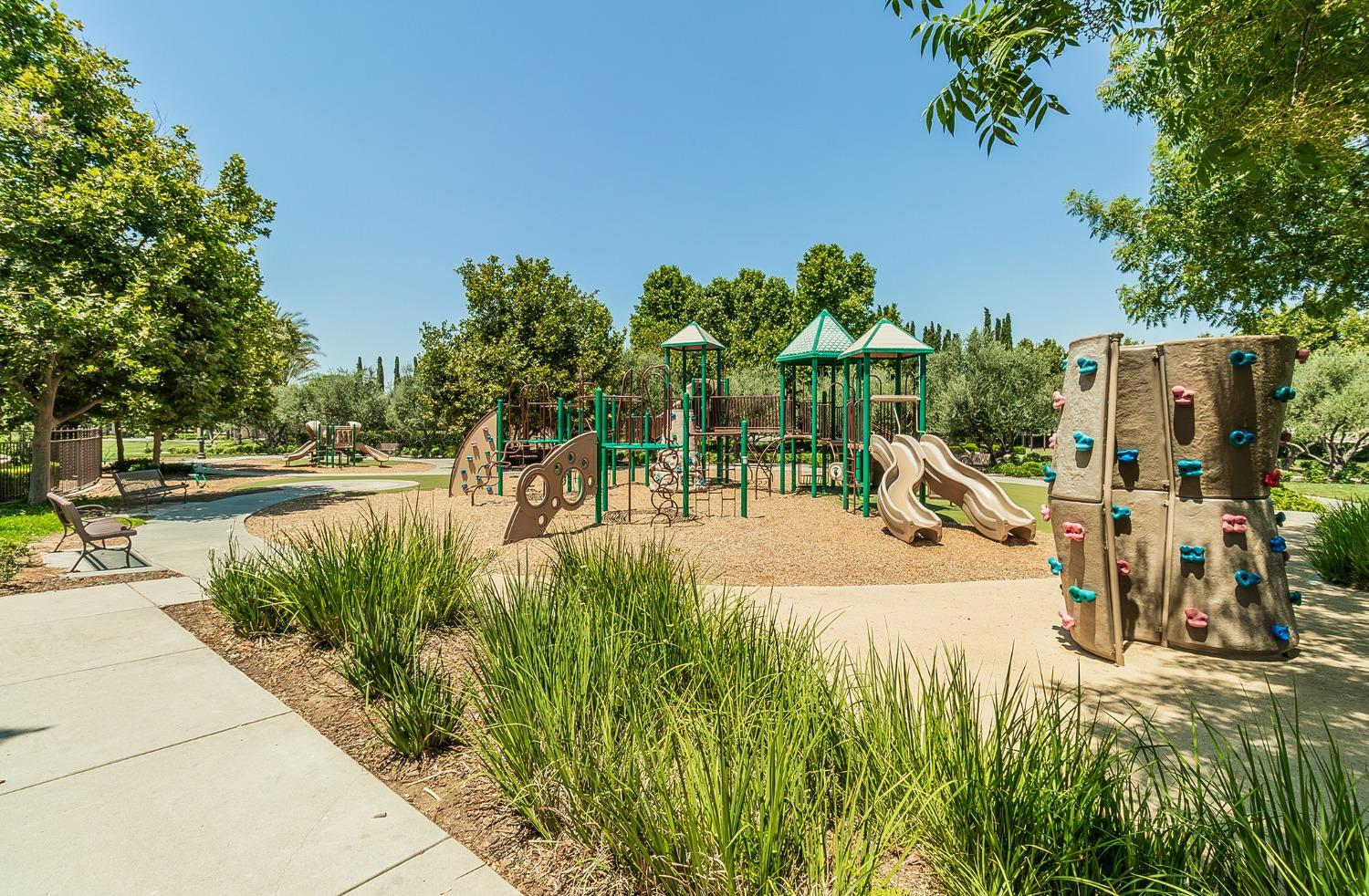 4179 Harlan Ranch Boulevard Clovis, CA 93619 - Photo 37 of 47 a view of a yard with plants