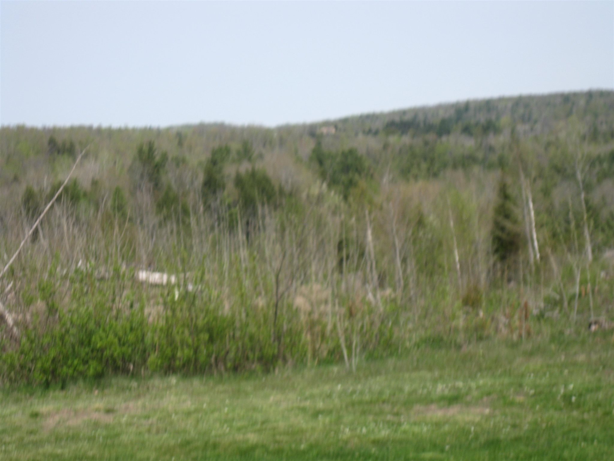 655 Kinsey Road Barton, VT 05822 - Photo 9 of 15