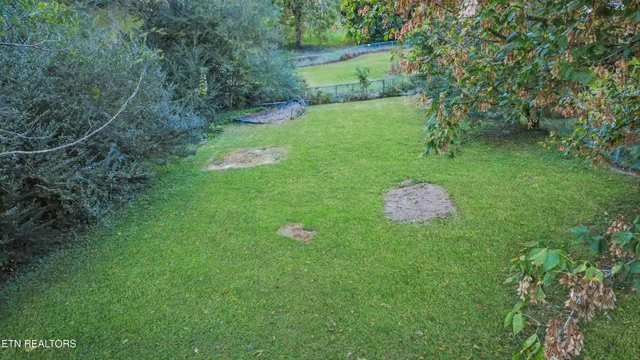 a big yard with lots of green space and plants