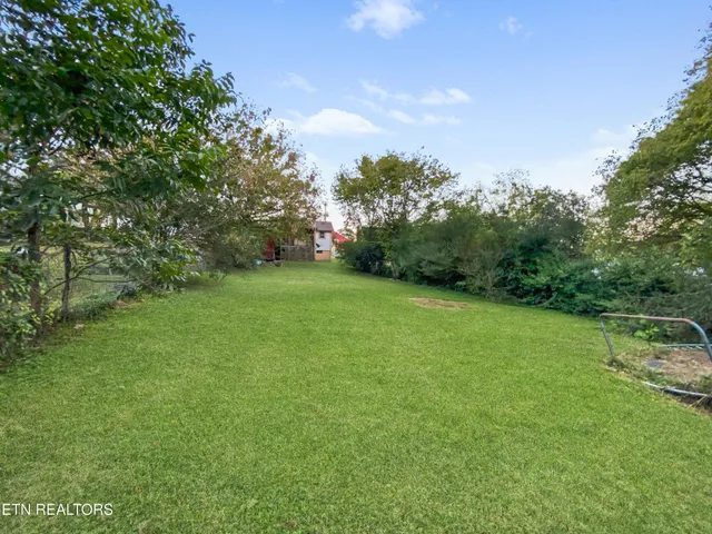 a view of a field of grass and trees