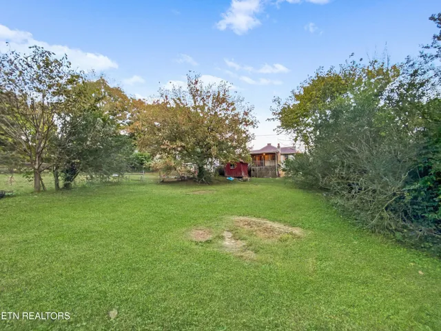 a huge green field with lots of bushes