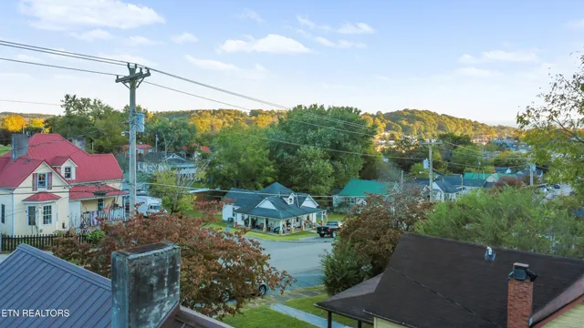 a view of a city with lush green space