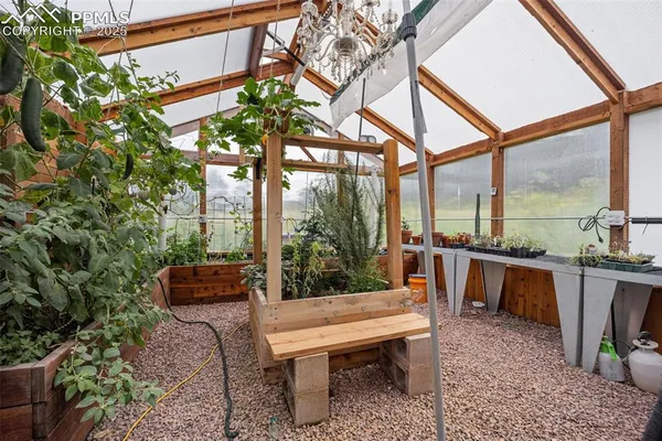 a view of a garden with plants and a lake view
