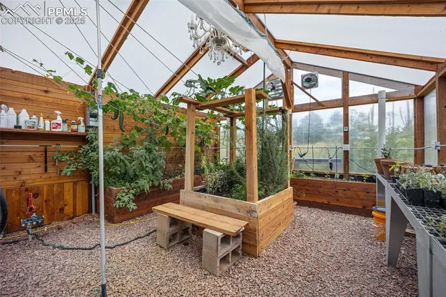 a view of a garden with plants and a lake view