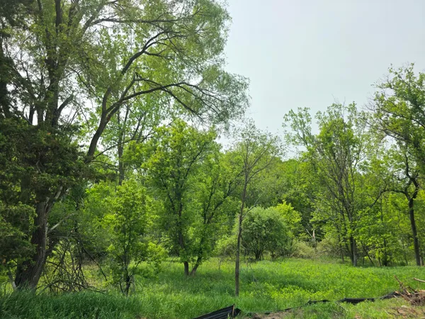 $44,995 | V/l Lot 5 South V/l Street, Stanton, MI 48888