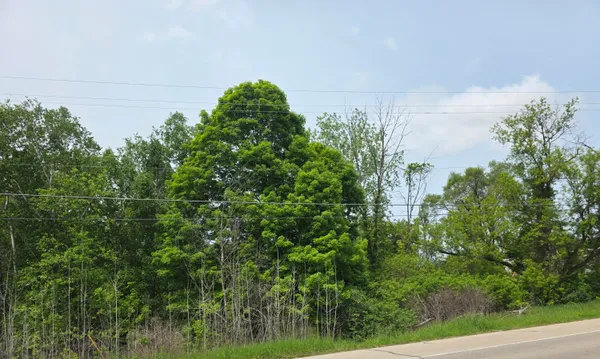 $44,995 | V/l Lot 5 South V/l Street, Stanton, MI 48888