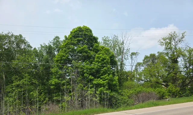 $45,000 | V/l Lot 5 South V/l Street, Stanton, MI 48888