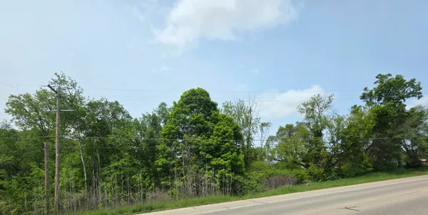 $44,995 | V/l Lot 5 South V/l Street, Stanton, MI 48888