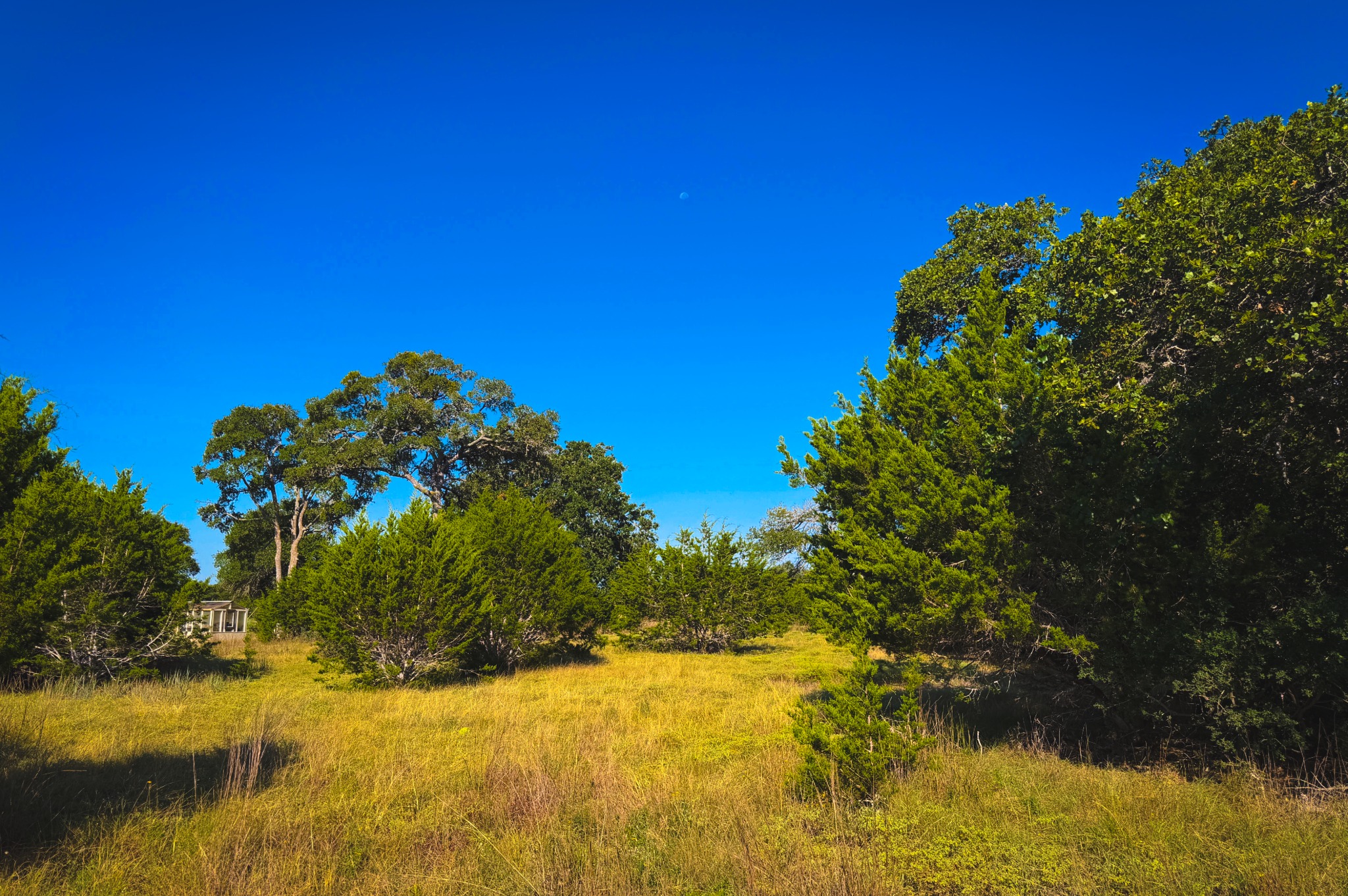 Lot 380 South Calvin Barrett Road Blanco, TX 78606 - Photo 11 of 24 Vast, open terrain offers a natural setting with diverse foliage under a clear sky.