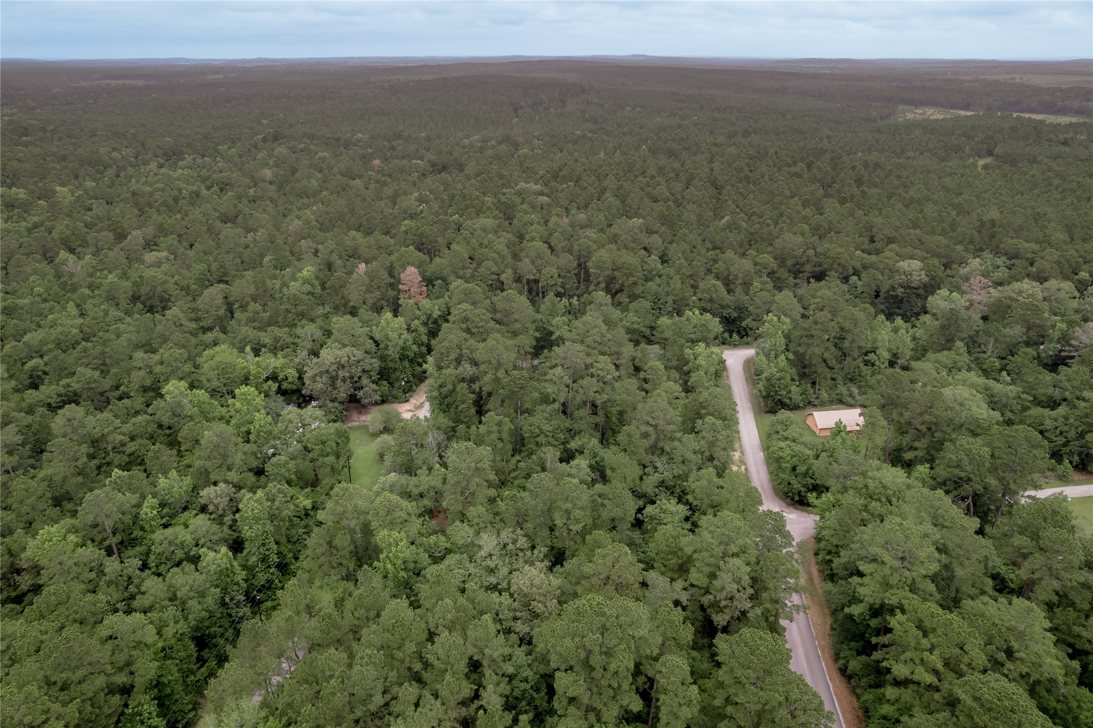 Lot 07 Oak Drive Trinity, TX 75862 - Photo 13 of 36