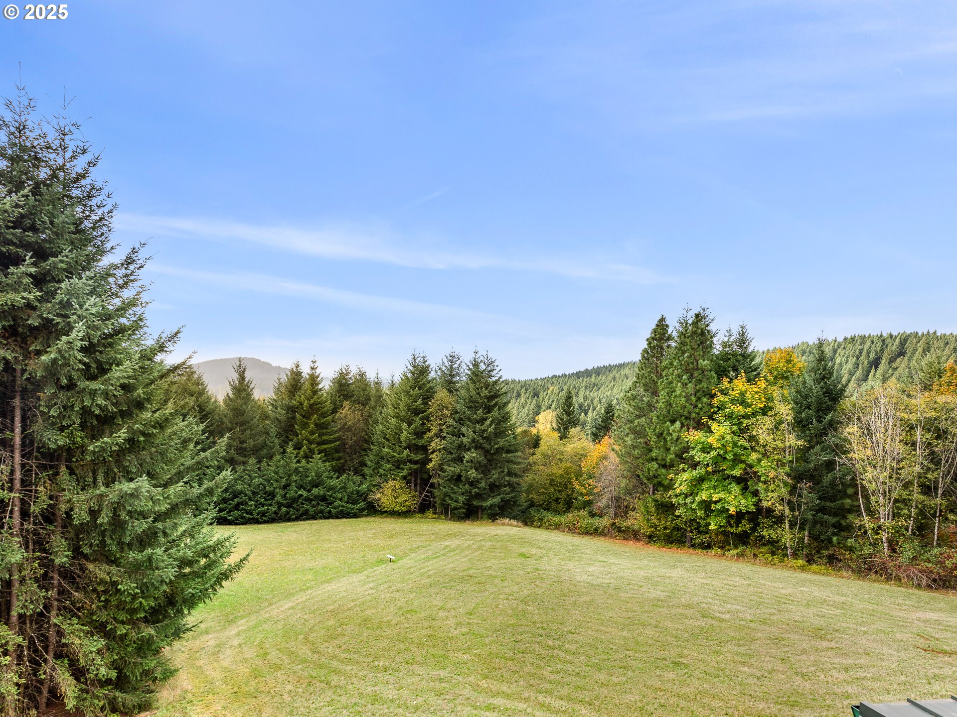 25520 Northeast 58th Street Vancouver, WA 98682 - Photo 39 of 48 a view of a yard with an outdoor space