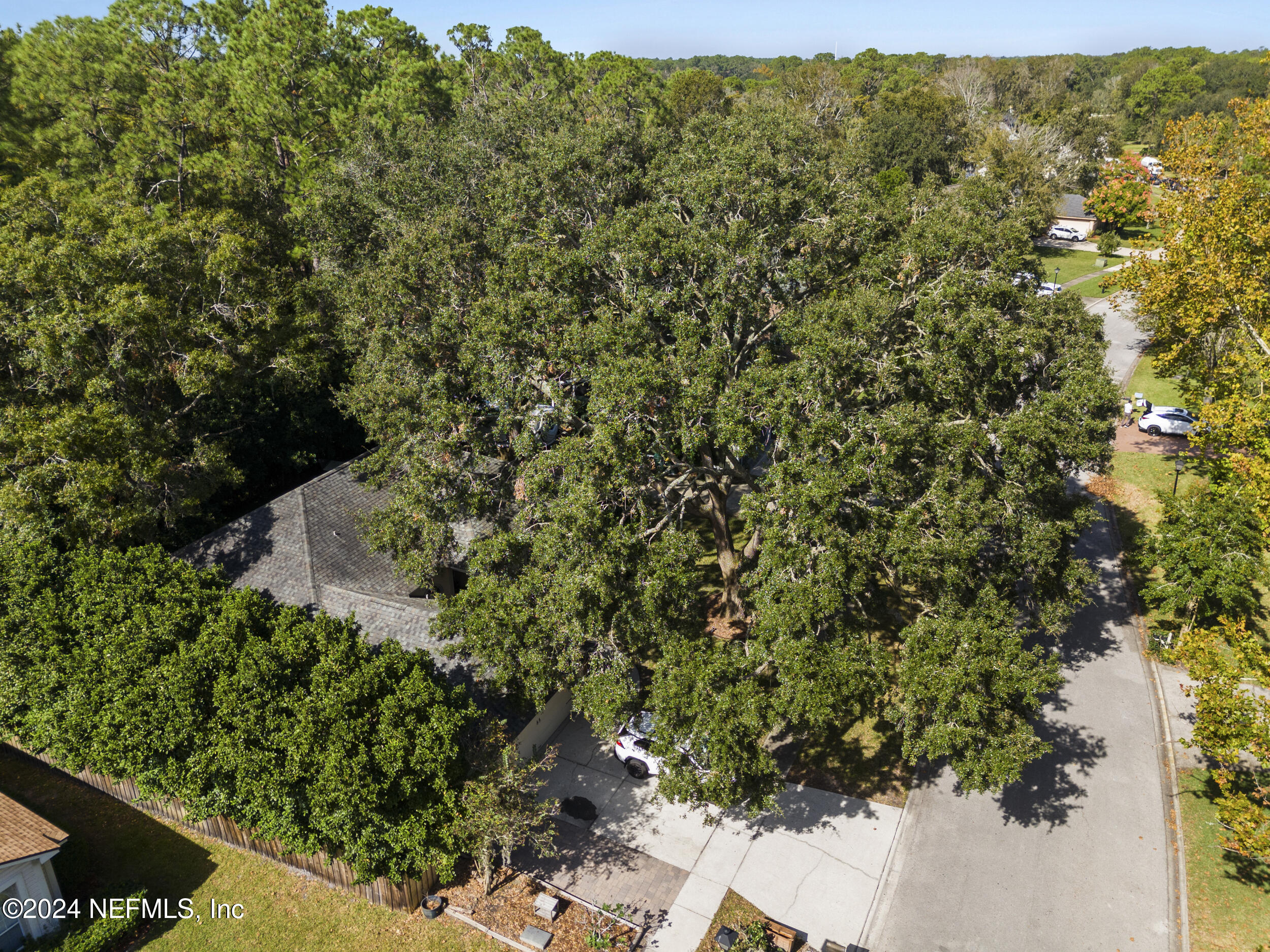 2338 Eagles Nest Road Jacksonville, FL 32246 - Photo 62 of 68 _therealestateographers_168