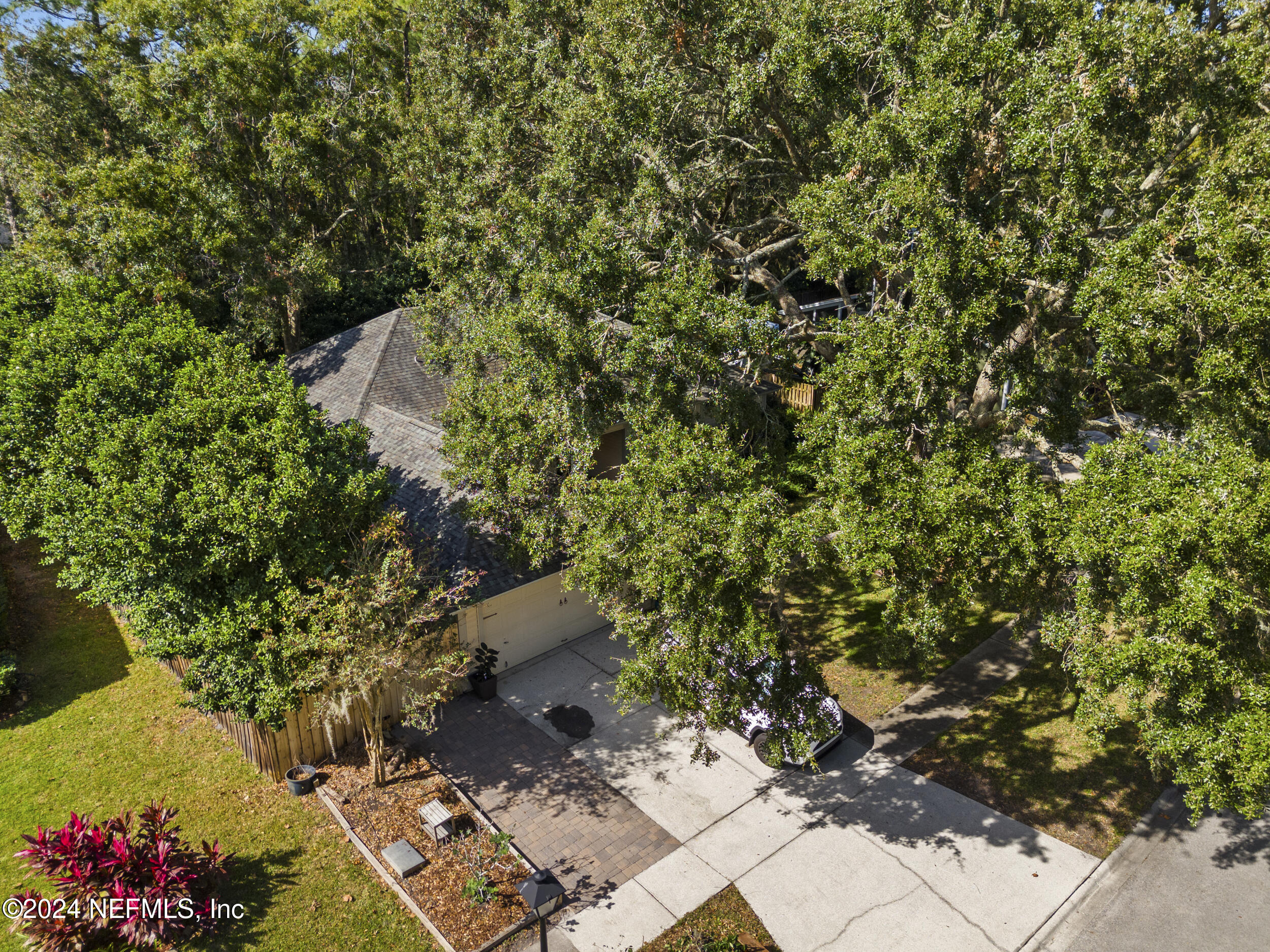 2338 Eagles Nest Road Jacksonville, FL 32246 - Photo 64 of 68 a view of a yard with plants and flowers