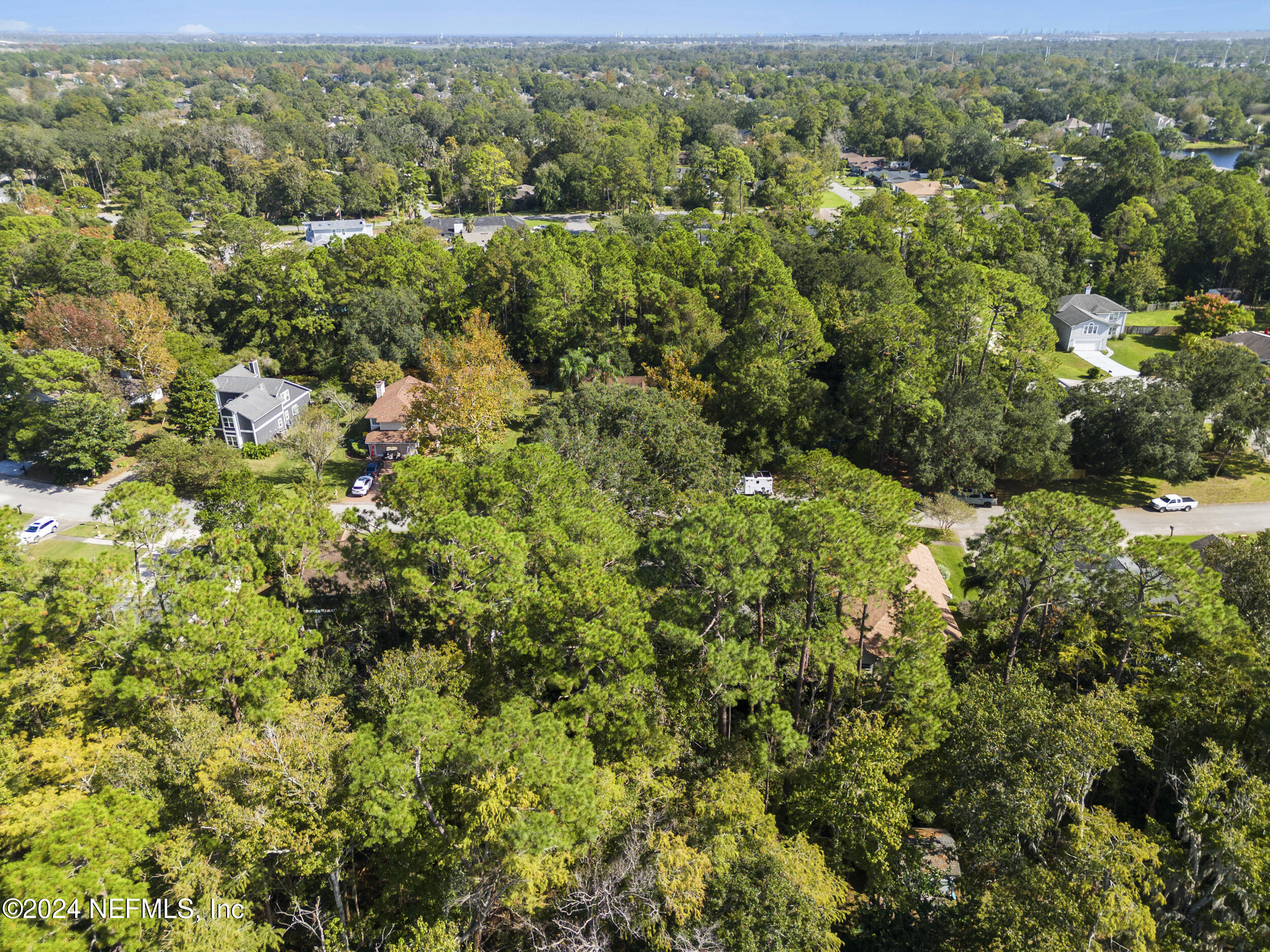2338 Eagles Nest Road Jacksonville, FL 32246 - Photo 65 of 68 an aerial view of residential houses with outdoor space and trees