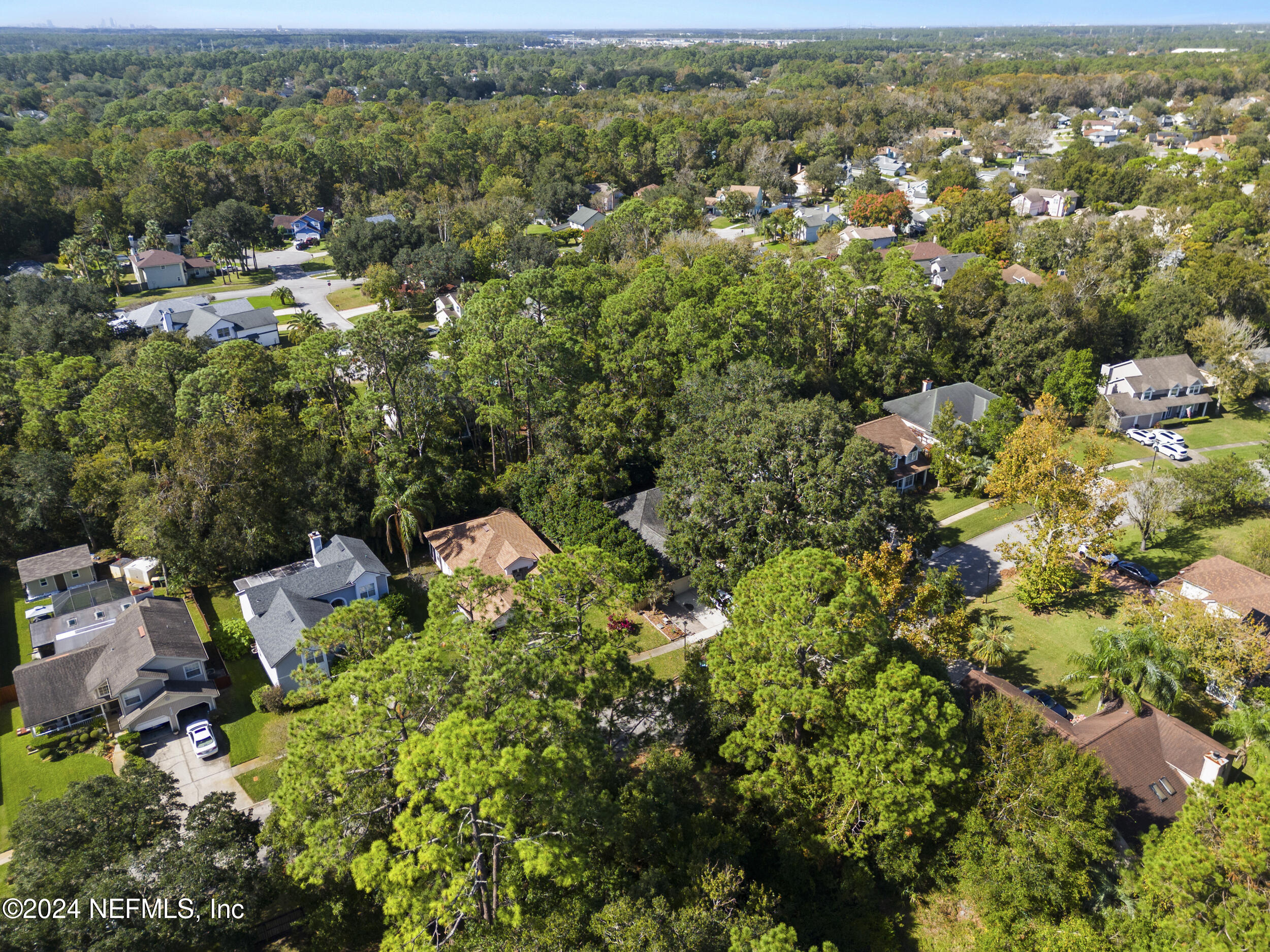 2338 Eagles Nest Road Jacksonville, FL 32246 - Photo 66 of 68 an aerial view of a house with a yard