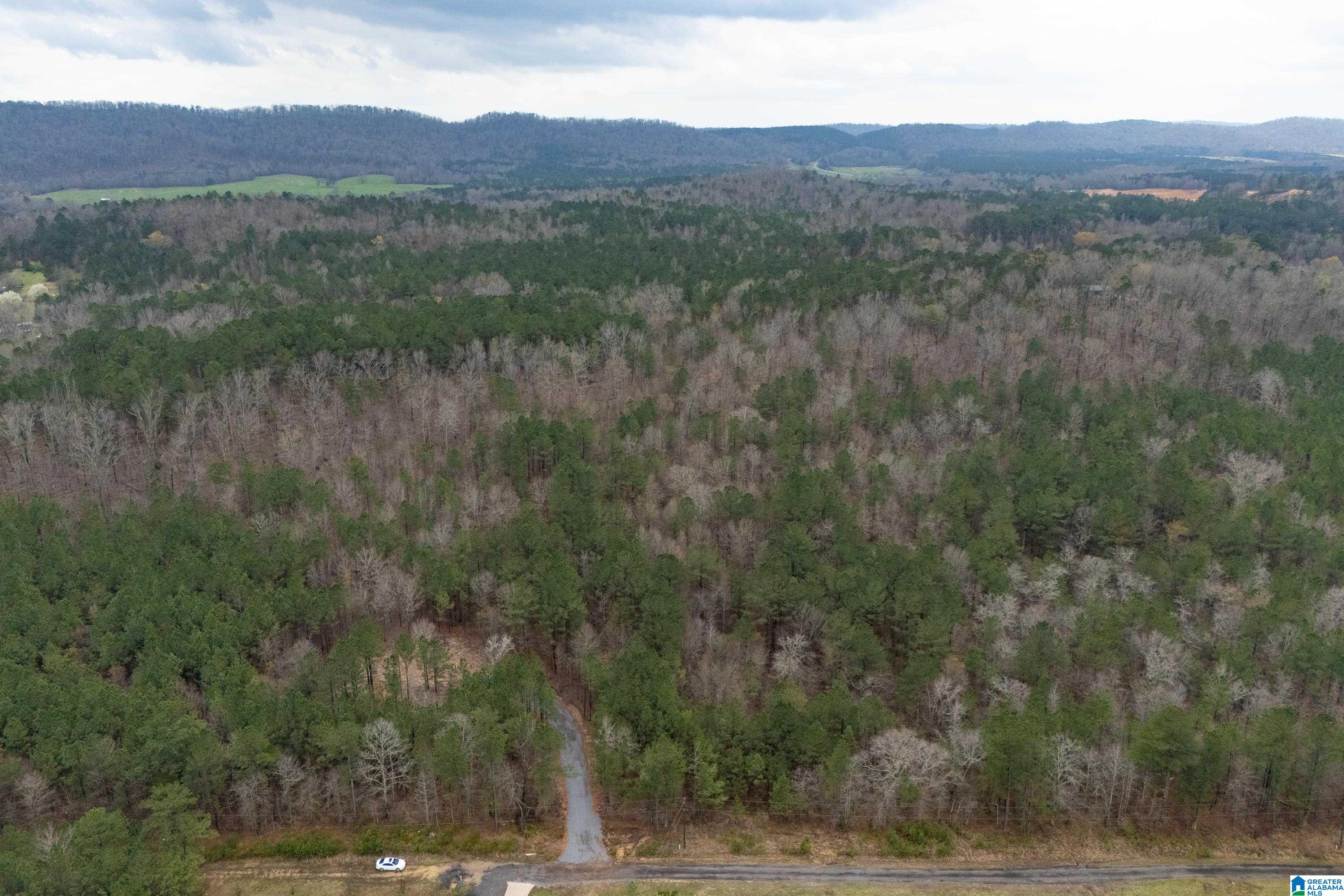7 Fisher Phillips, Unit 7 Ashville, AL 35953 - Photo 24 of 28