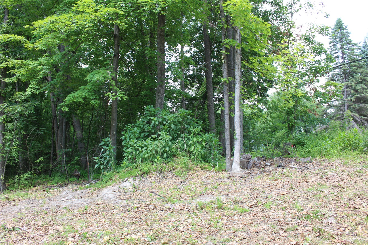 357 East North Street Portland, MI 48875 - Photo 12 of 32