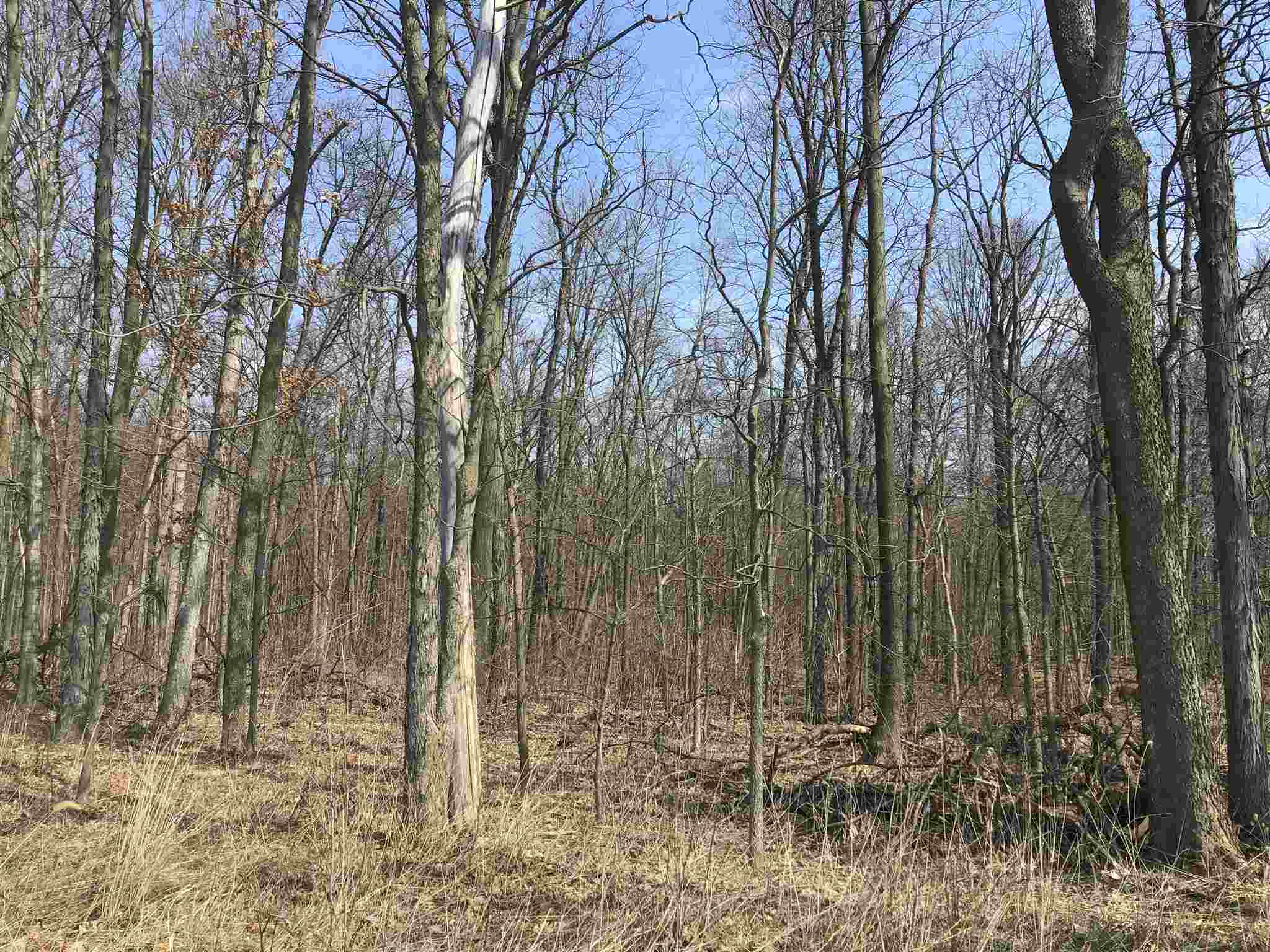 8 State Road Butler, IN 46721 - Photo 1 of 6