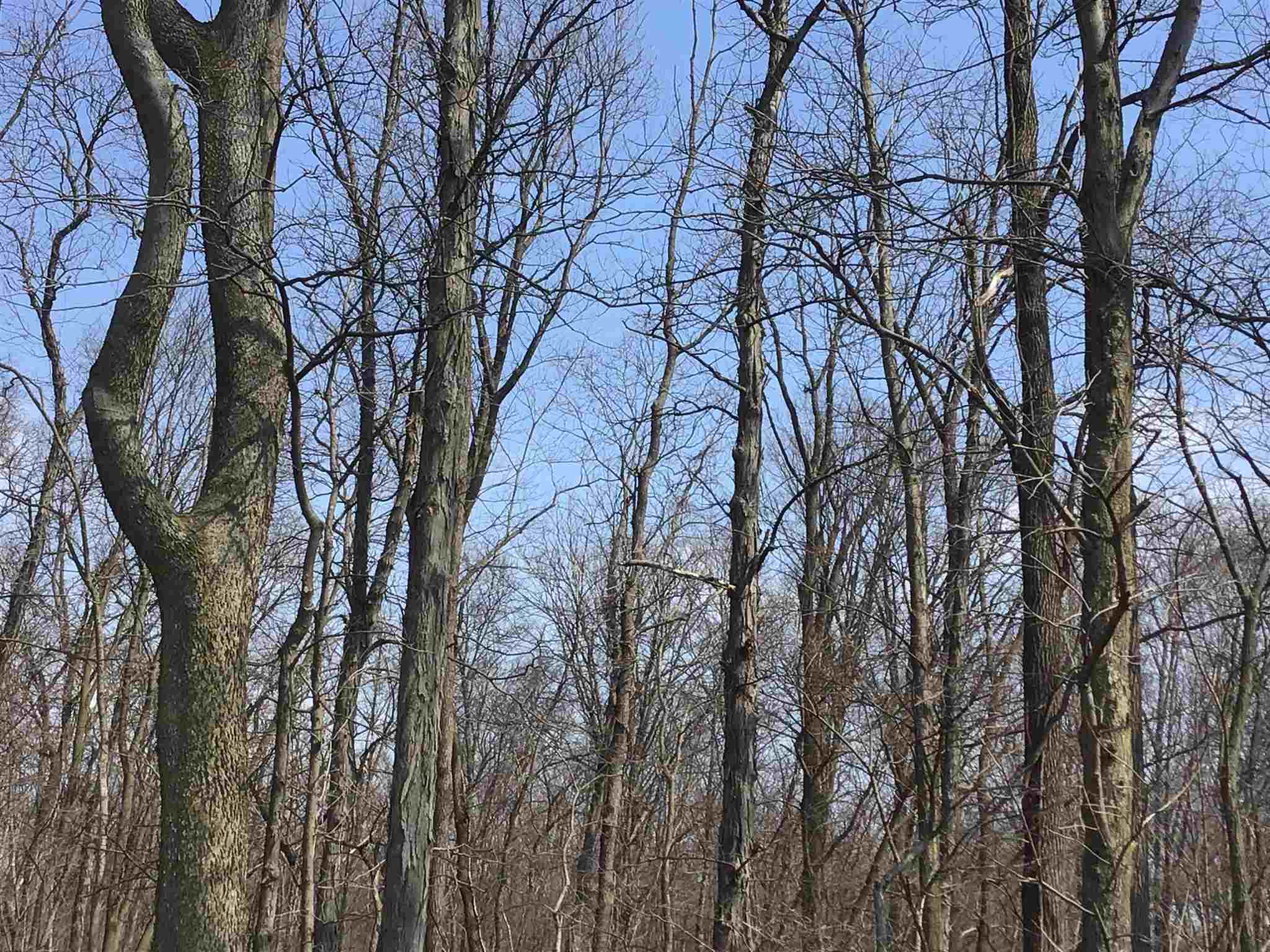8 State Road Butler, IN 46721 - Photo 2 of 6