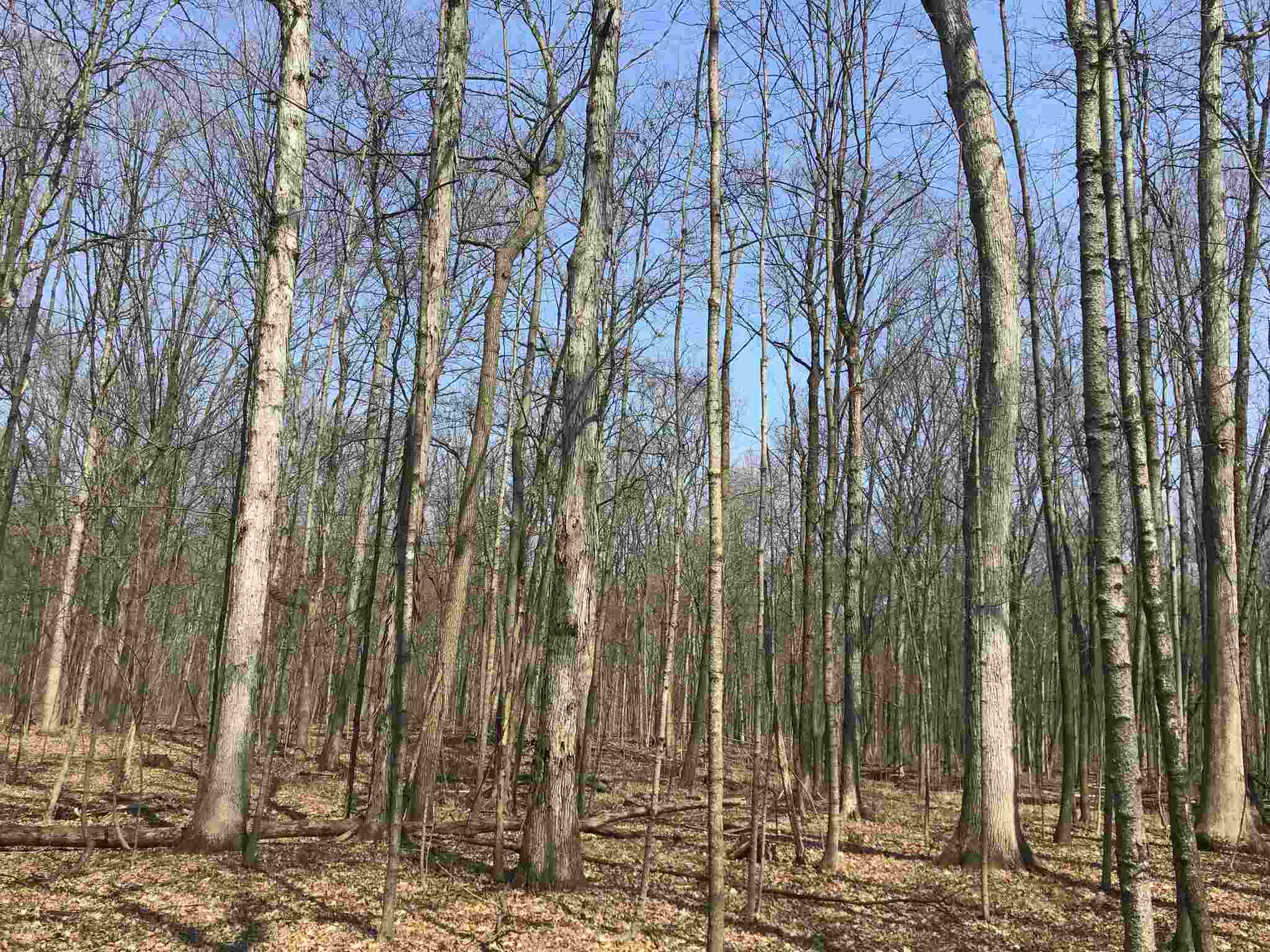 8 State Road Butler, IN 46721 - Photo 3 of 6