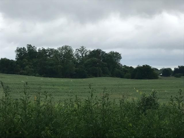 0 Jerome Road South Pittsford, MI 49271 - Photo 2 of 6