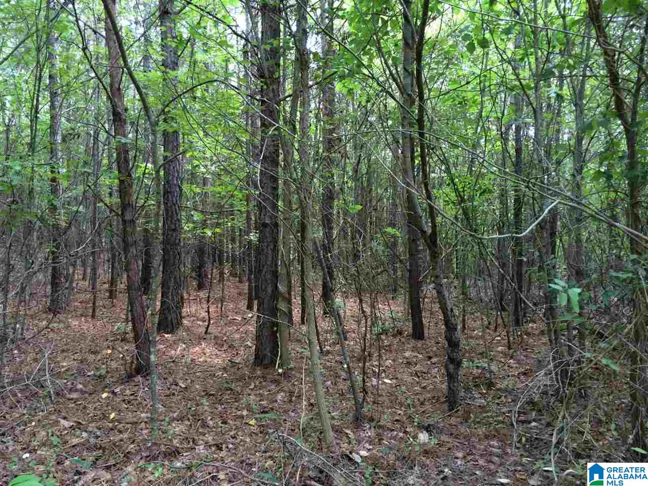 Spunky Hollow Road, Unit 18 7 Oneonta, AL 35121 - Photo 4 of 46